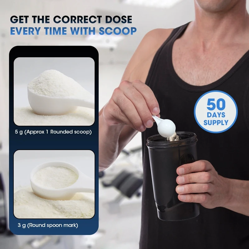 Kexinsh Creatine Monohydrate P - Creatine Monohydrate Powder review and price