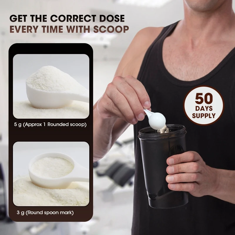 Kexinsh Creatine Powder Creati - Creatine Monohydrate Powder review and price